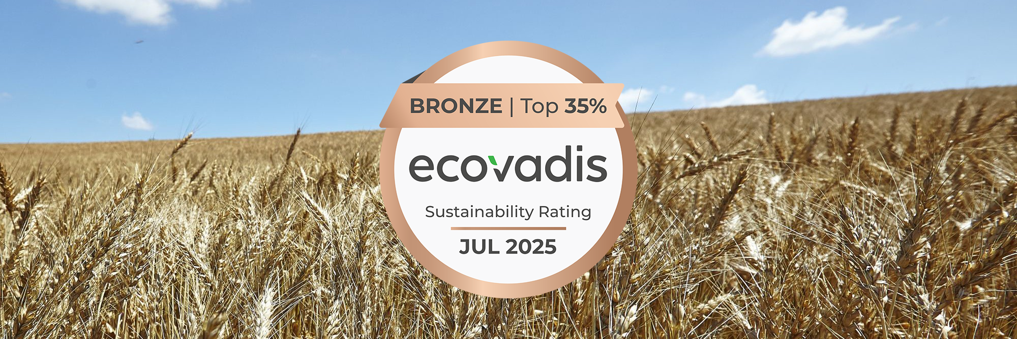 Bronz minősítést értünk el az EcoVadis értékelésén