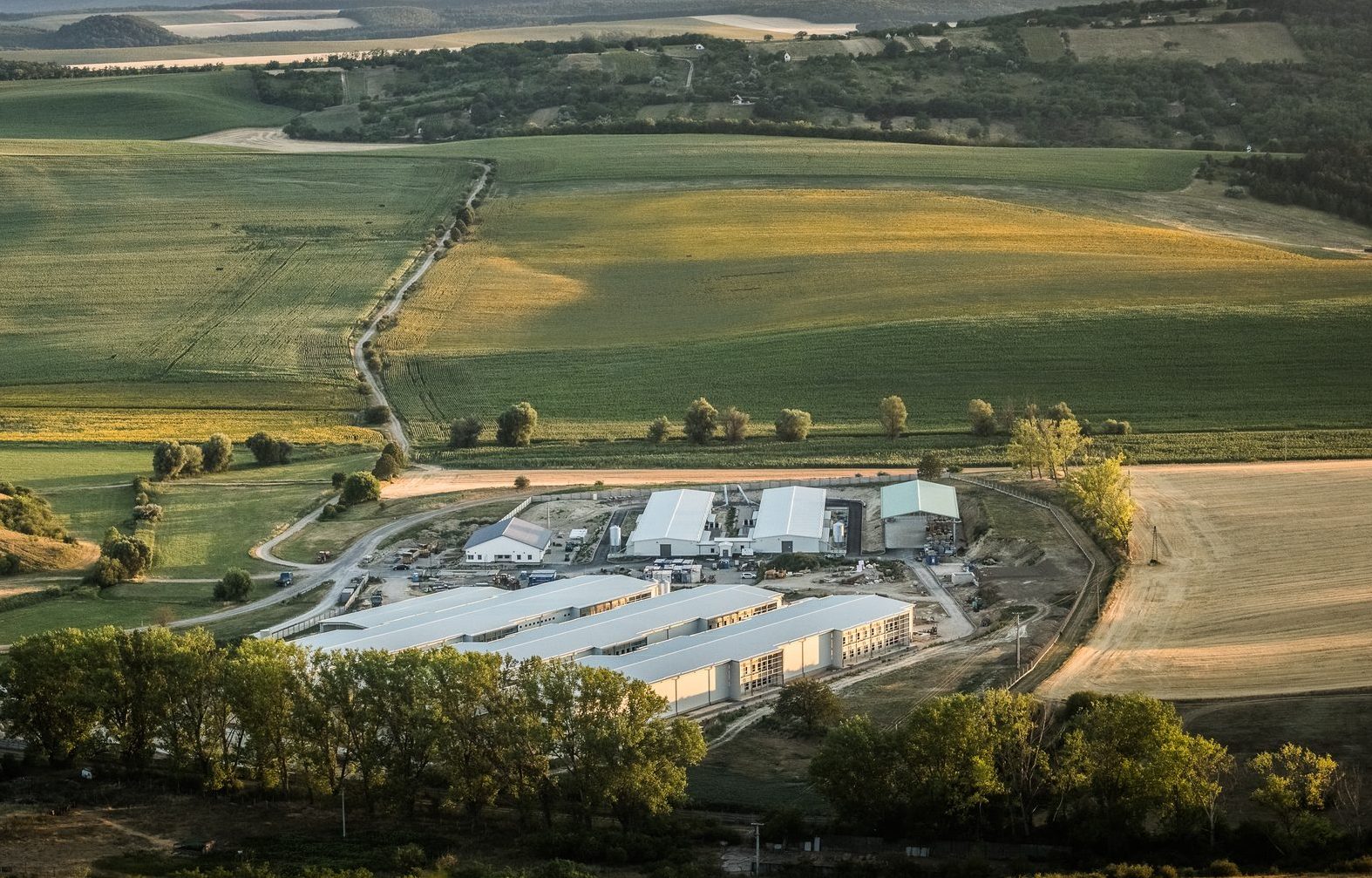 Gyermelyi prepares for future challenges with a comprehensive development program